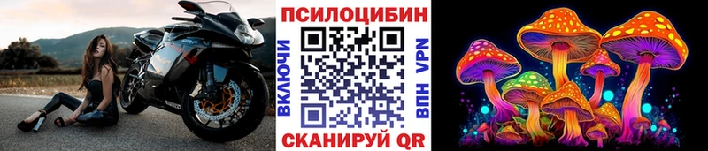 где продают наркотики  Мышкин  Галлюциногенные грибы Psilocybe 